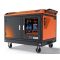 Генератор бензиновий 6 кВт GENERGY GUARDIAN S6-SOL