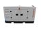 Генератор дизельний 132 кВт Soygen SGB 165 KVA