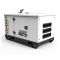 Генератор дизельний 8 кВт GENERGY GDS10M