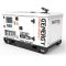 Генератор дизельний 8 кВт GENERGY GDS10T