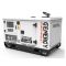 Генератор дизельний 11.2 кВт GENERGY GDS14M