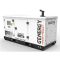 Генератор дизельний 37 кВт GENERGY GDS50T